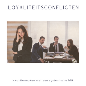 masterclass kwartiermaken met een systemische blik