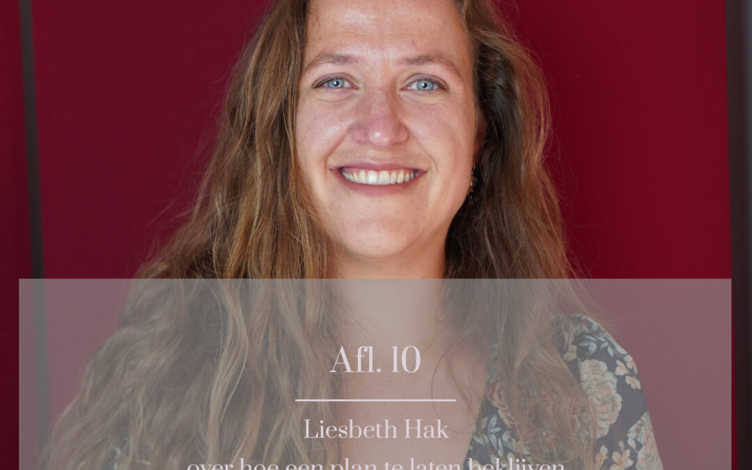 Podcast Aflevering 10 Liesbeth Hak: over hoe een plan te laten beklijven